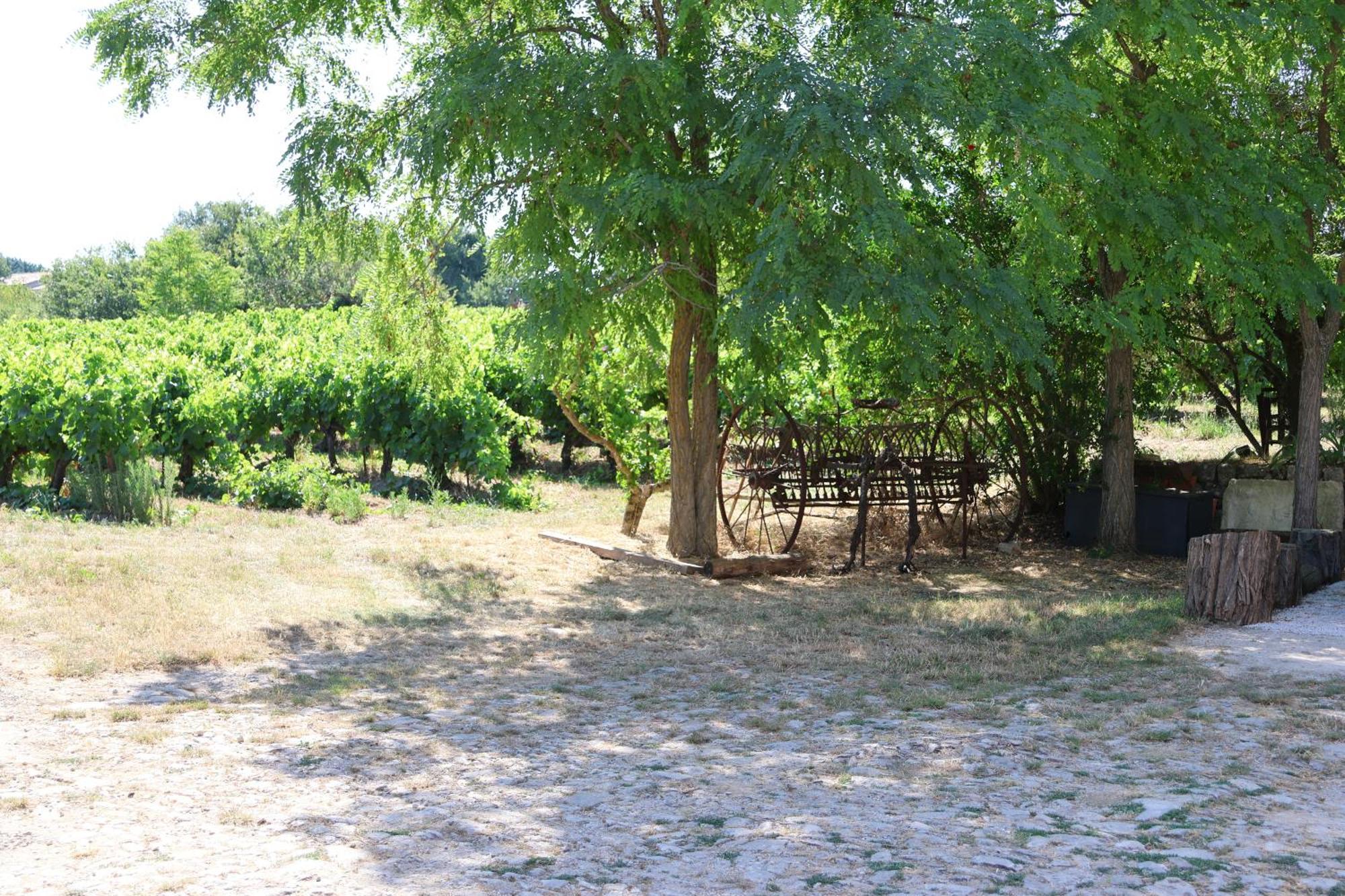 Homestay Les Bruns Saignon